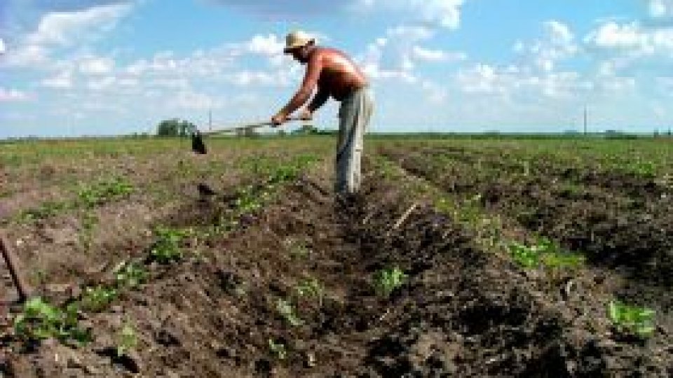 Priests in countryside will help farmers