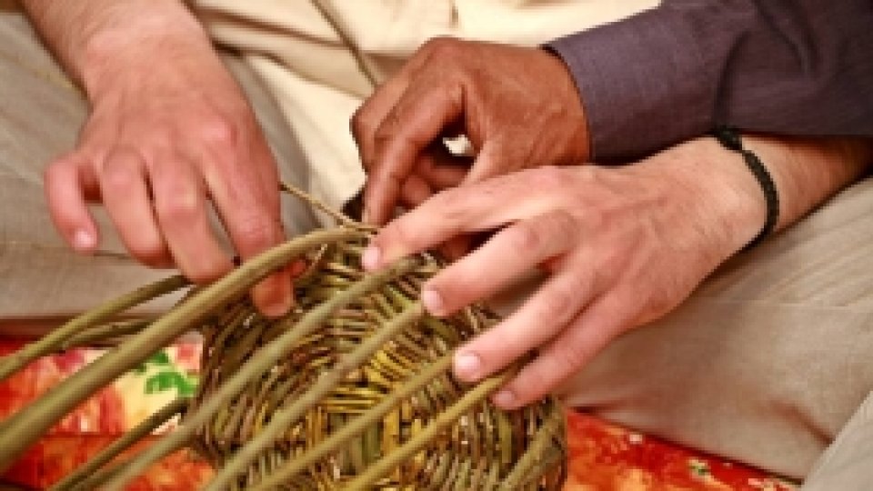 Proiectul Romano ButiQ, apreciat de Comisia Europeană