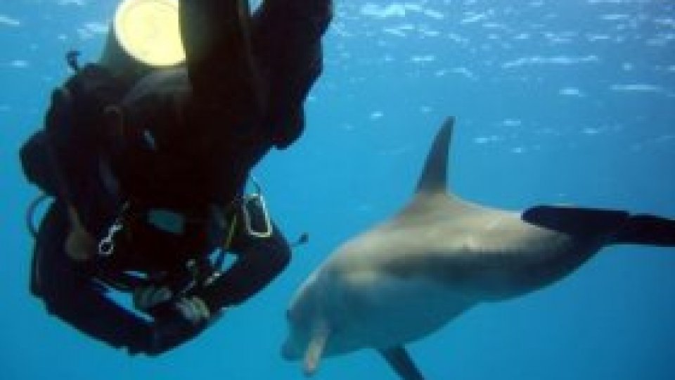 Omul mărilor trăiește în munți