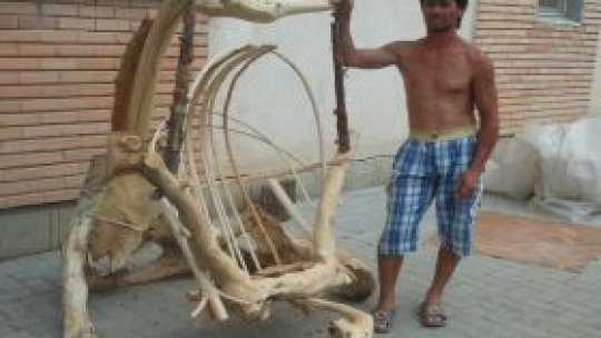 Fiecare om are o pasiune pentru ceva. Un hobby.