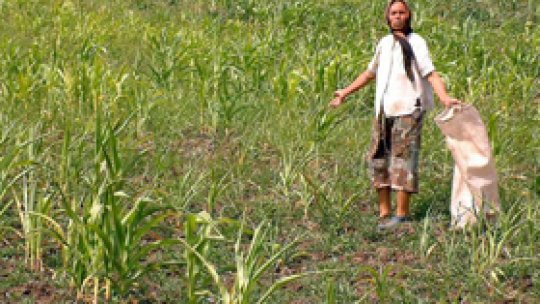 Sute de agricultori bulgari au protestat la Ruse