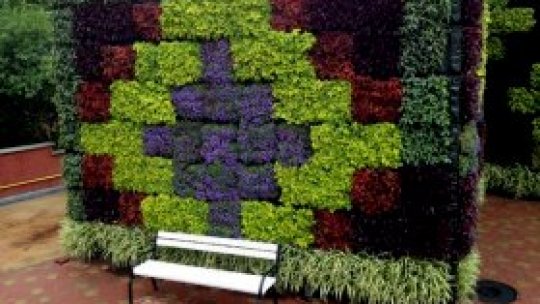 Proiect pilot la Jibou