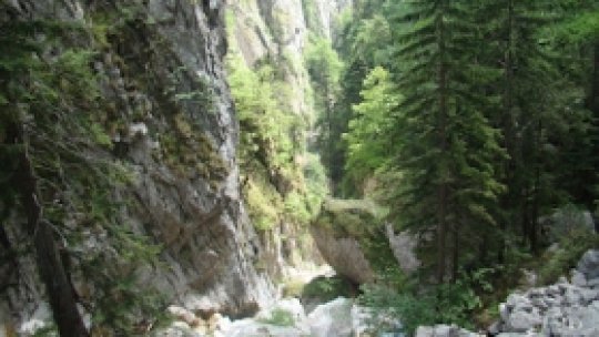 Vâlcea, tărâmul traseelor turistice montane