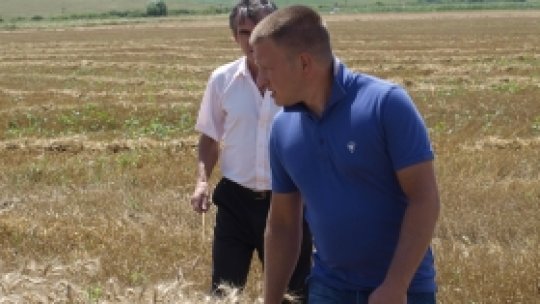 Străinii fac agricultură ecologică în Sălaj
