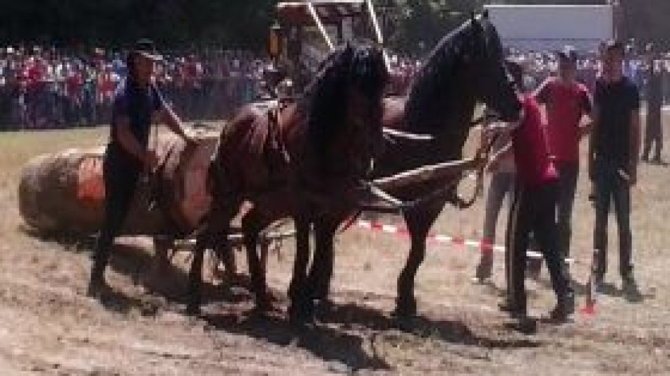 Festivalul ecvestru de la Râşnov