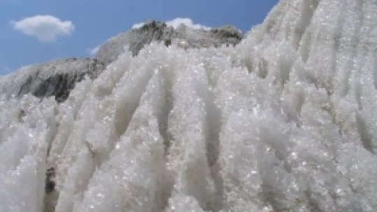 O vorbă bună 149 - Sarea pământului