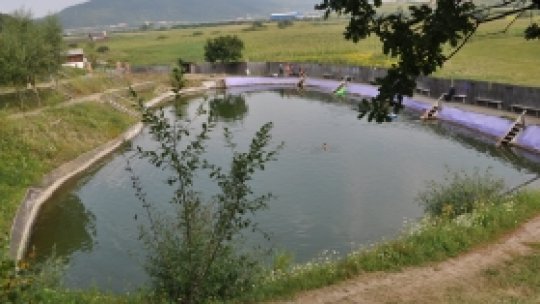 Sarea, comoara din adâncuri