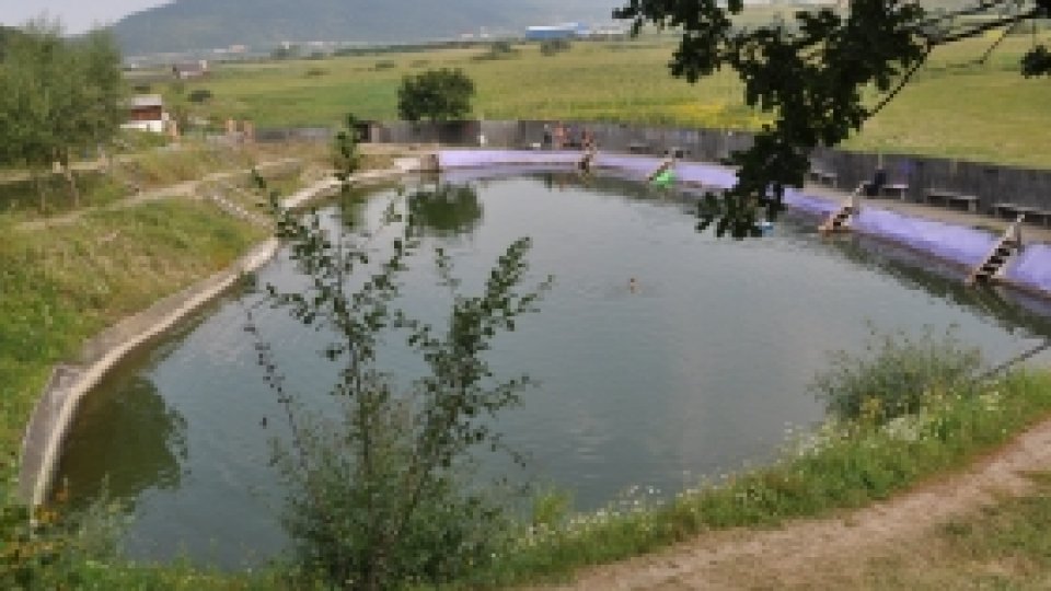 Sarea, comoara din adâncuri