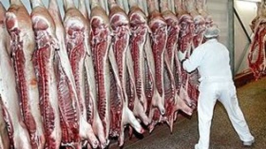România importă carne de porc