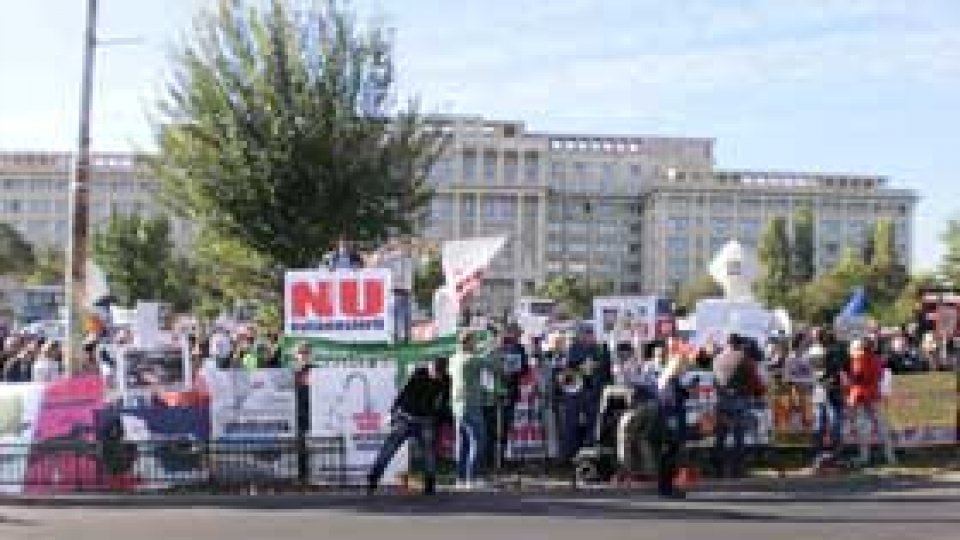 Legea câinilor comunitari, promulgată