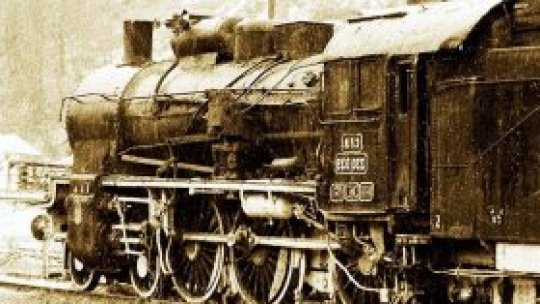 Transporturi tradiţionale româneşti, expuse la Muzeul Ţăranului