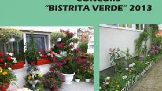 Concurs "Bistriţa verde"