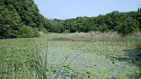 Lacul cu nuferi de la Ipoteşti a ajuns în patrimoniul public