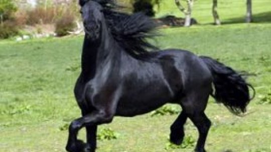 REPORTERII RADIO ROMÂNIA