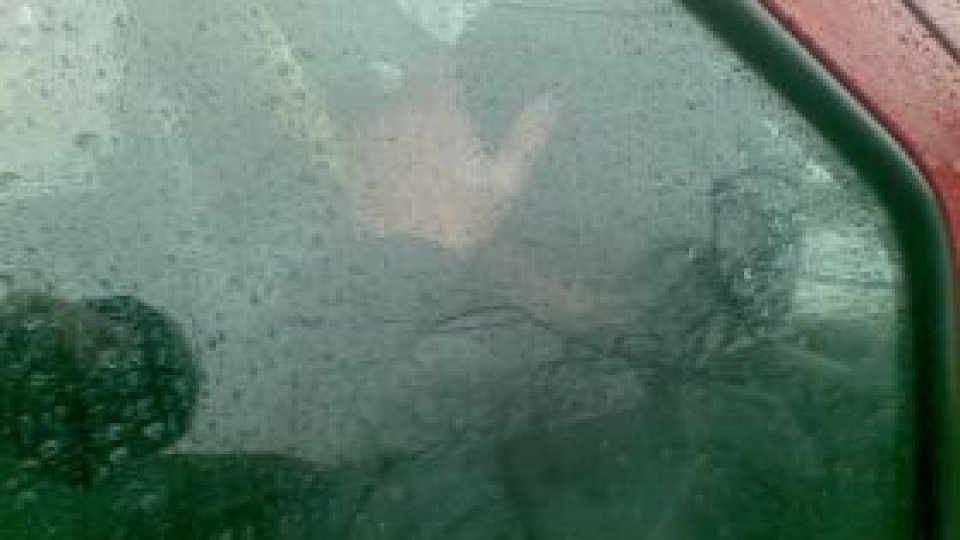 Hackerul care a spart adresa de email a directorului SRI,reţinut