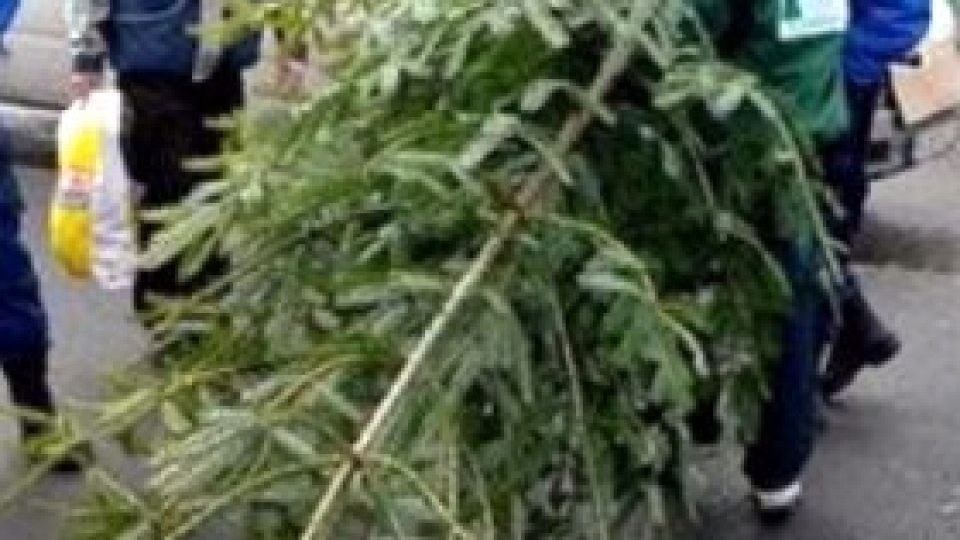 REPORTERII RADIO ROMÂNIA