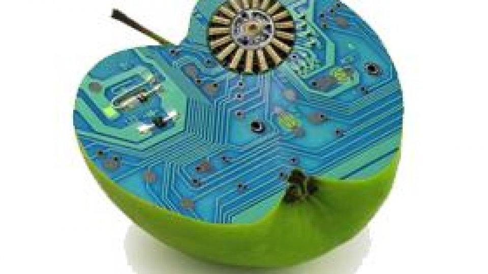 Inovaţia, "motorul pe care se bazează evoluţia"