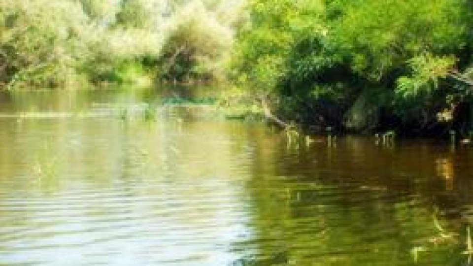 Proiect de cercetare paneuropean, în Delta Dunării