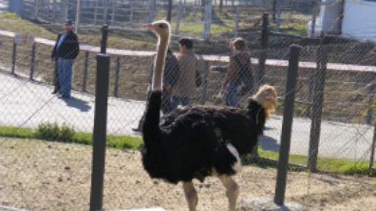 Grădina Zoologică din Brașov, redeschisă după 4 ani