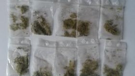 Tineri constănţeni, surprinşi în timp ce consumau etnobotanice