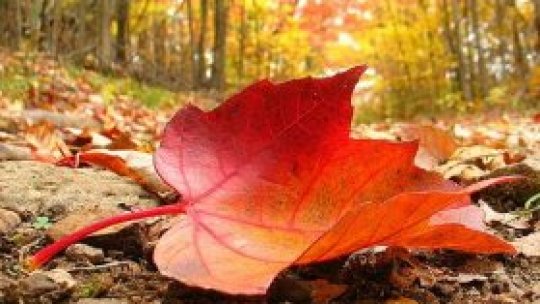 REPORTERII RADIO ROMÂNIA