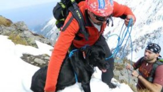 Cel mai mare exerciţiu de salvamontişti, pe Transfăgărăşan