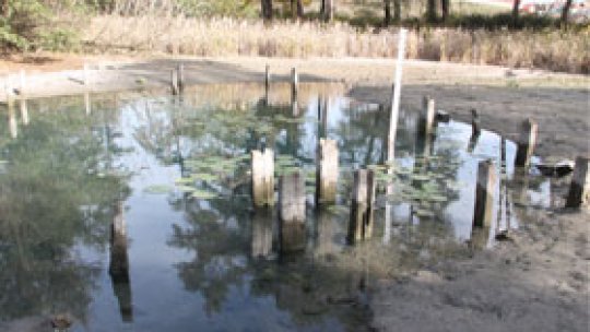 Încercare de protejare a Lacului cu nuferi de la Băile 1 Mai