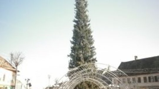 Cel mai mare brad de Crăciun se aprinde în Cisnădie
