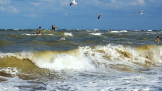 REPORTERII RADIO ROMÂNIA