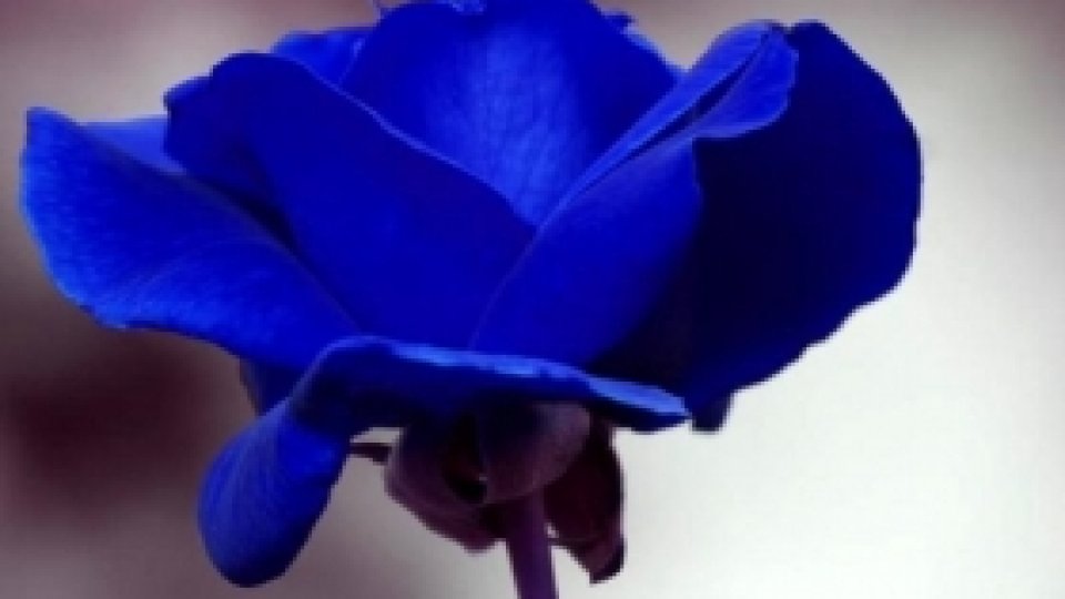 O vorbă bună 169 - Minte şi inimă