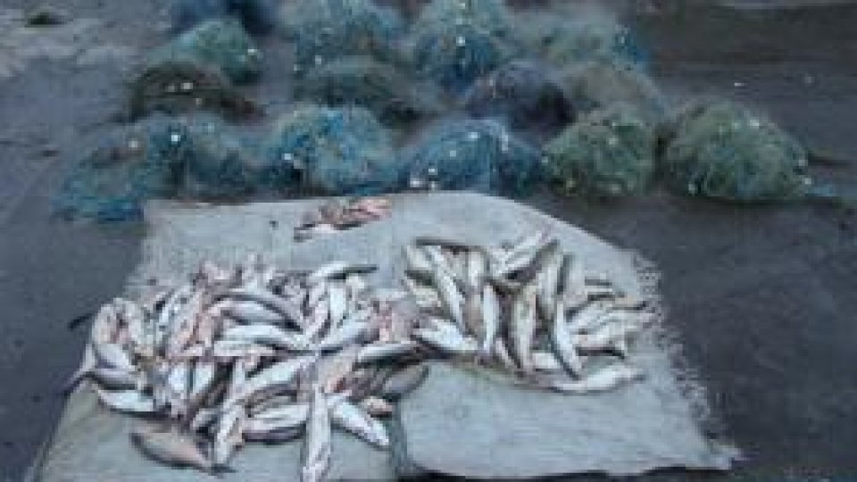 Un kilometru de plase pentru braconaj, confiscate