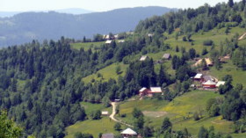 Moţii cer repararea drumului din comuna Horea