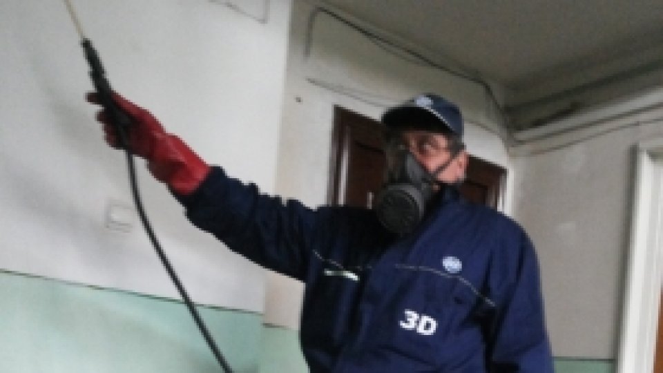 Începe campania de deratizare în Bucureşti