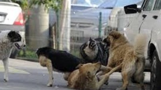 REPORTERII RADIO ROMÂNIA