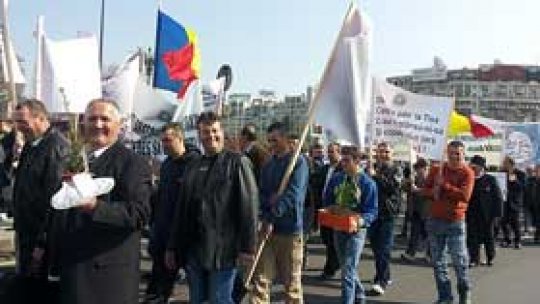 Marş de protest faţă de tăierile ilegale de păduri