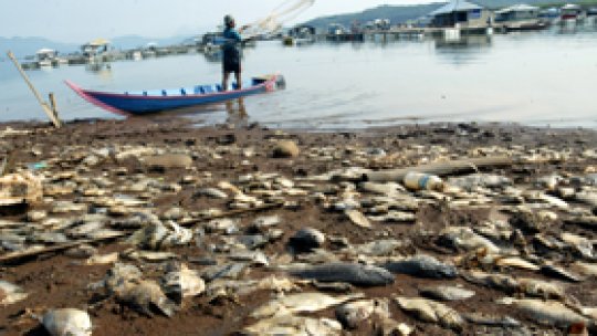 ONU atrage atenţia asupra riscurilor schimbărilor climatice