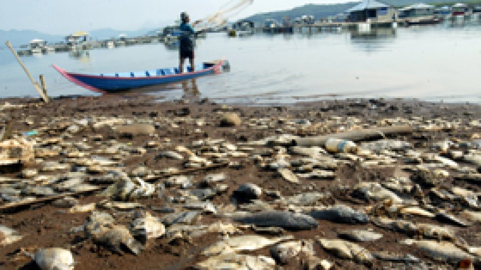 ONU atrage atenţia asupra riscurilor schimbărilor climatice