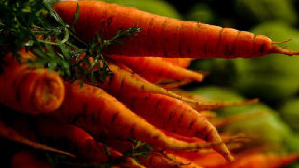 REPORTERII RADIO ROMÂNIA