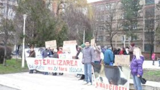 "Ajutaţi-l pe Lăbuş" cere oprirea eutanasierii câinilor