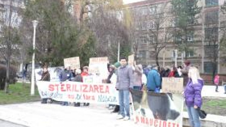 "Ajutaţi-l pe Lăbuş" cere oprirea eutanasierii câinilor