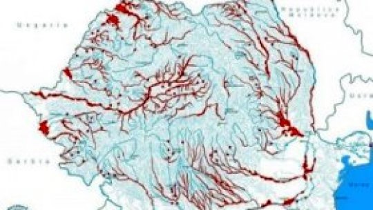 REPORTERII RADIO ROMÂNIA