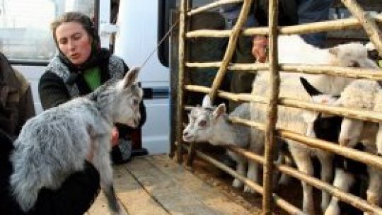 REPORTERII RADIO ROMÂNIA