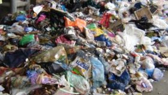 Gospodăriile risipesc cea mai mare cantitate de alimente