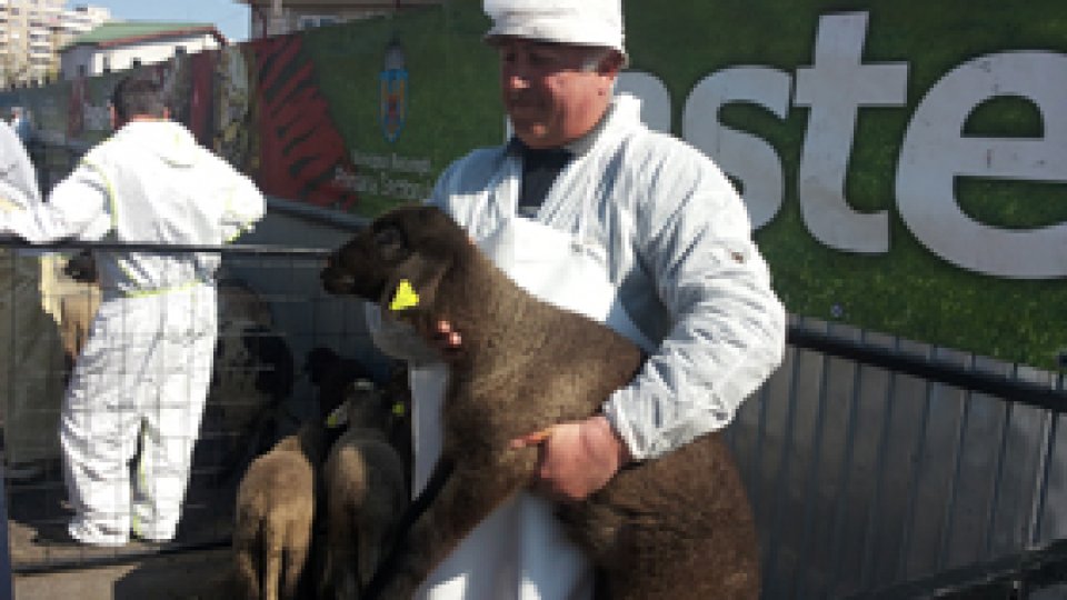"Singurul târg de miei din Capitală" a fost deschis