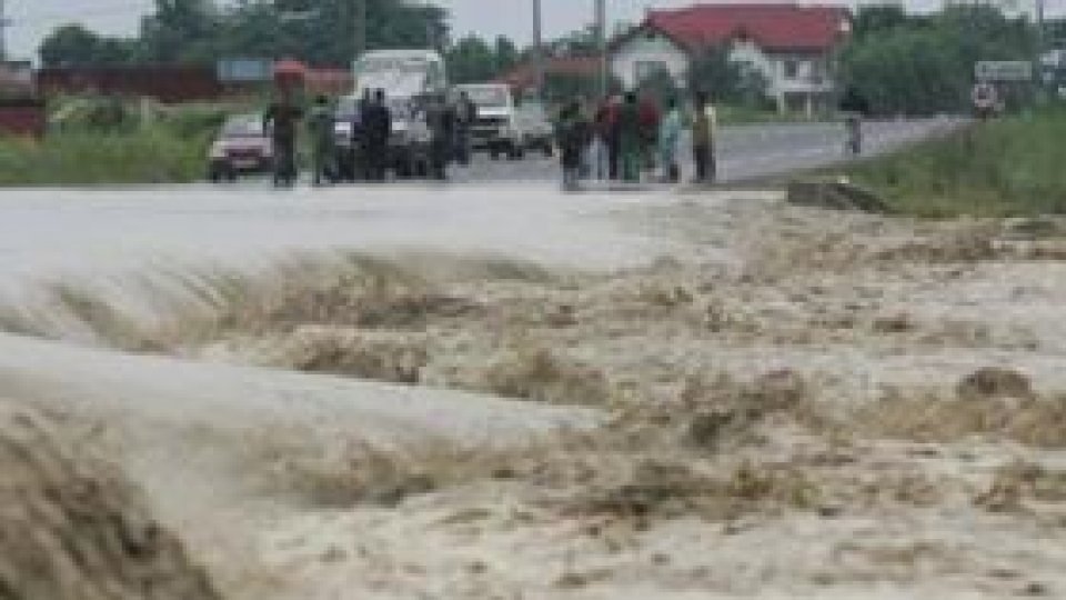 Cod portocaliu pe râul Vedea şi afluenţii din judeţul Olt