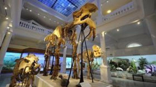 Muzeele din toată lumea au fost luate cu asalt