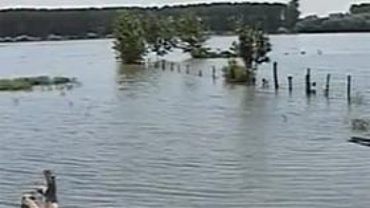Unde au inundat apele Dunării
