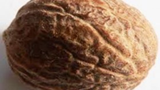 La ce sunt bune nucile?