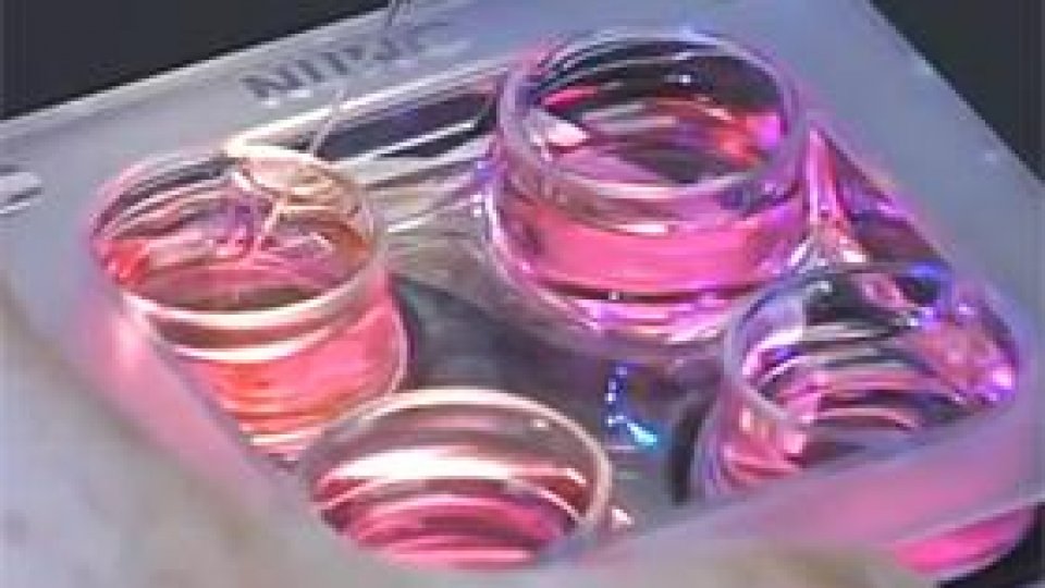 Medici suspectaţi de trafic cu ovule, reţinuţi