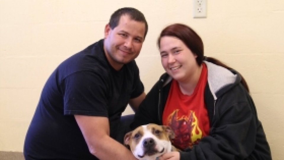 Emoţionant: Şi-a reîntâlnit stăpânii după un an şi jumătate